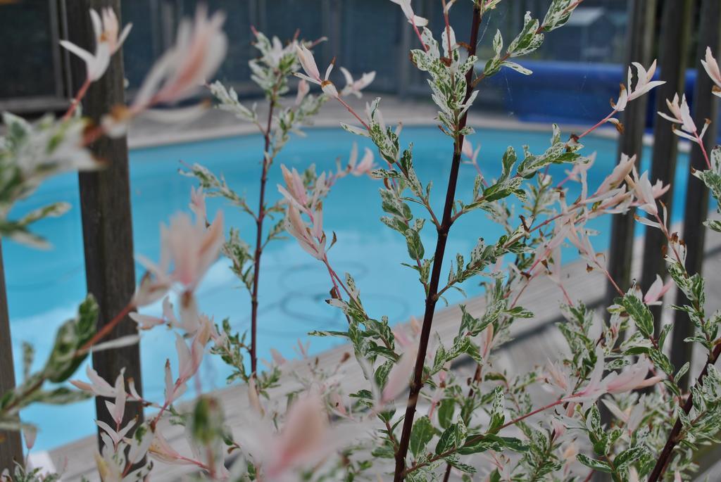 L'Arbre D'Alais Bed & Breakfast Saint-Fulgent Ngoại thất bức ảnh